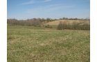Property photo 45 - 137 Acres in 2 Tracts - 64 Tillable Acres, Potential Building Sites, Hunting